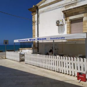 Coperture_Tettoie_16